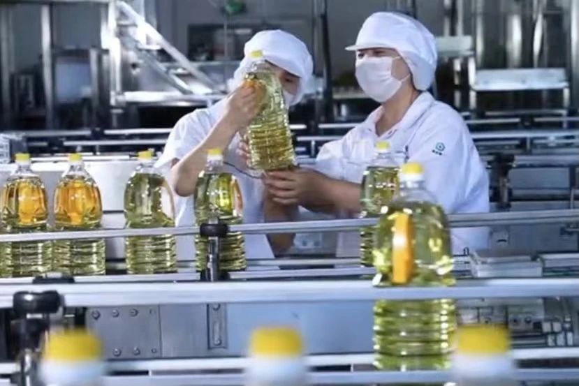 GA黄金甲·(中国集团)官方网站