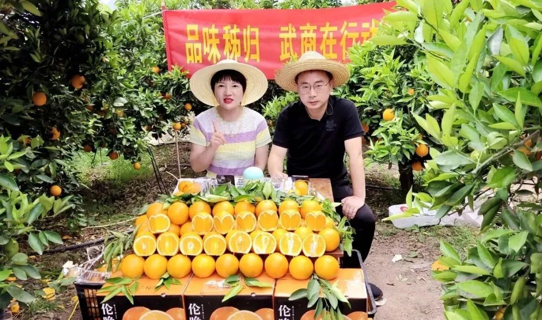 GA黄金甲·(中国集团)官方网站