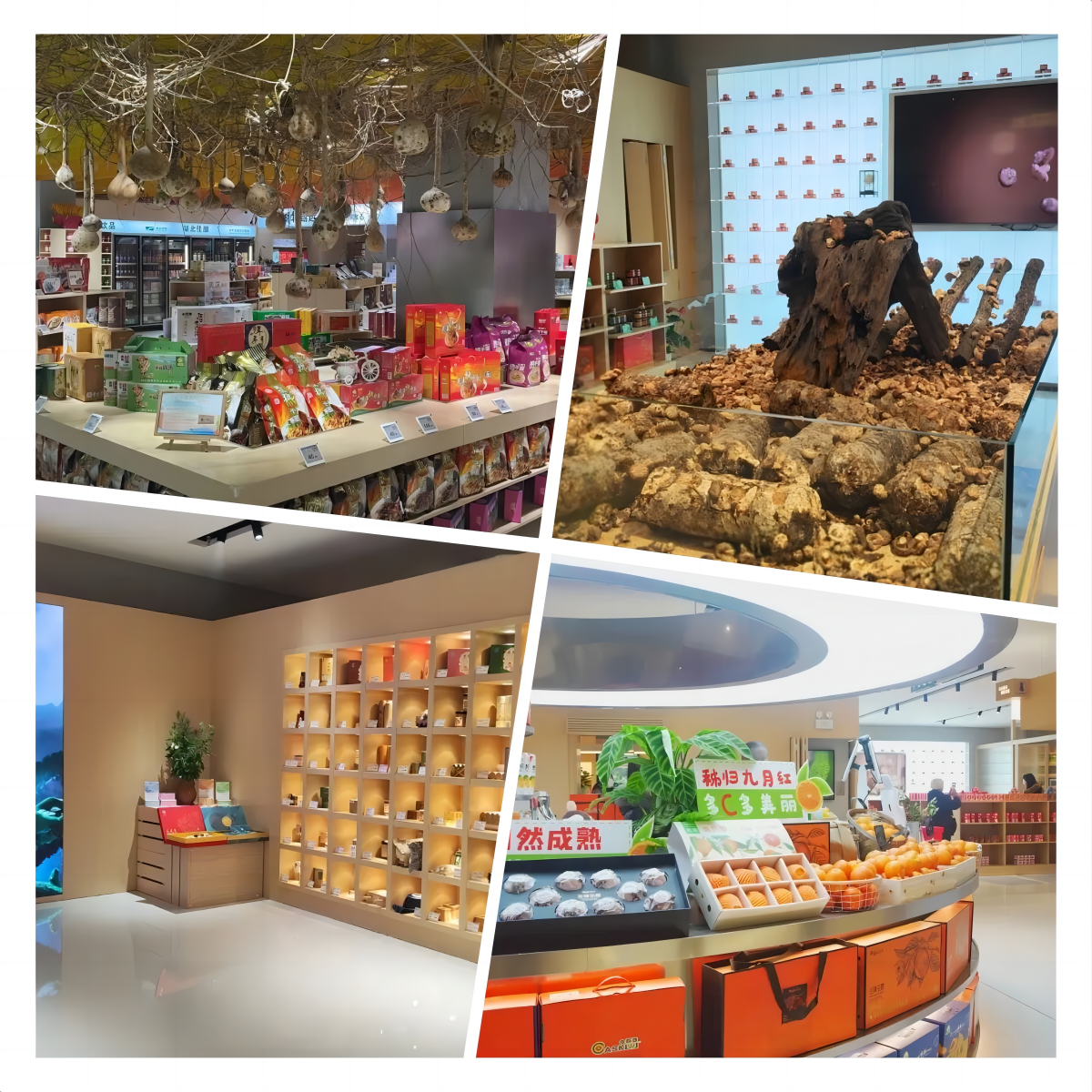 GA黄金甲·(中国集团)官方网站