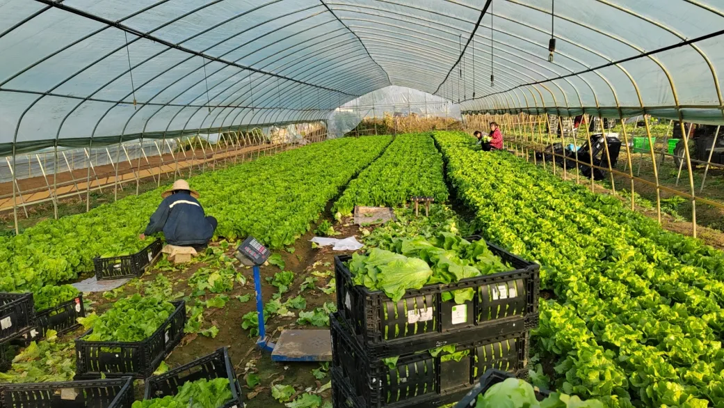 GA黄金甲·(中国集团)官方网站